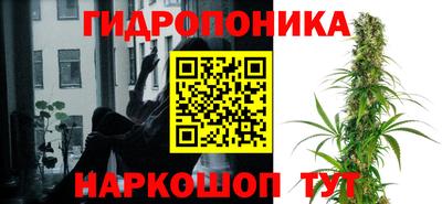 крисы Краснокаменск